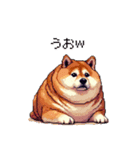 冷笑系の太っちょ柴犬（個別スタンプ：2）