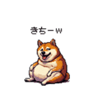 冷笑系の太っちょ柴犬（個別スタンプ：4）