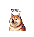 冷笑系の太っちょ柴犬（個別スタンプ：6）