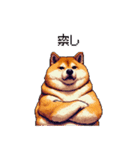 冷笑系の太っちょ柴犬（個別スタンプ：7）