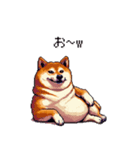 冷笑系の太っちょ柴犬（個別スタンプ：9）