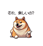 冷笑系の太っちょ柴犬（個別スタンプ：12）
