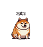 冷笑系の太っちょ柴犬（個別スタンプ：14）