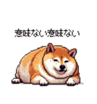 冷笑系の太っちょ柴犬（個別スタンプ：16）
