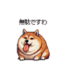 冷笑系の太っちょ柴犬（個別スタンプ：17）