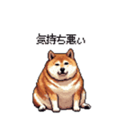 冷笑系の太っちょ柴犬（個別スタンプ：18）
