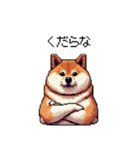 冷笑系の太っちょ柴犬（個別スタンプ：19）