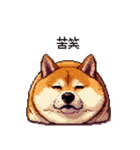 冷笑系の太っちょ柴犬（個別スタンプ：20）