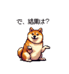 冷笑系の太っちょ柴犬（個別スタンプ：23）