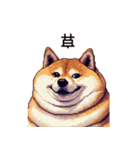 冷笑系の太っちょ柴犬（個別スタンプ：24）