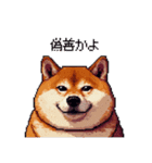 冷笑系の太っちょ柴犬（個別スタンプ：25）