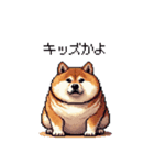 冷笑系の太っちょ柴犬（個別スタンプ：26）