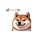 冷笑系の太っちょ柴犬（個別スタンプ：28）