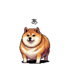 冷笑系の太っちょ柴犬（個別スタンプ：29）