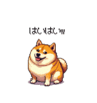 冷笑系の太っちょ柴犬（個別スタンプ：30）