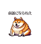 冷笑系の太っちょ柴犬（個別スタンプ：31）