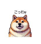 冷笑系の太っちょ柴犬（個別スタンプ：32）