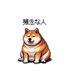 冷笑系の太っちょ柴犬（個別スタンプ：33）