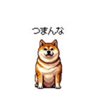 冷笑系の太っちょ柴犬（個別スタンプ：35）