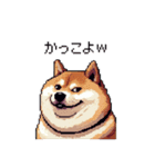冷笑系の太っちょ柴犬（個別スタンプ：38）