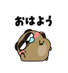 タヌキ de あーる（個別スタンプ：1）