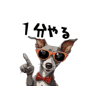 ロックだがネガティブなイタグレ（個別スタンプ：1）