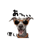 ロックだがネガティブなイタグレ（個別スタンプ：4）