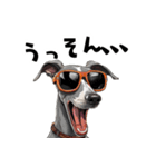 ロックだがネガティブなイタグレ（個別スタンプ：6）