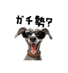 ロックだがネガティブなイタグレ（個別スタンプ：10）