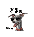 ロックだがネガティブなイタグレ（個別スタンプ：12）