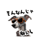 ロックだがネガティブなイタグレ（個別スタンプ：14）