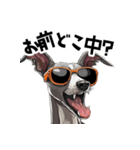 ロックだがネガティブなイタグレ（個別スタンプ：17）