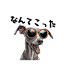 ロックだがネガティブなイタグレ（個別スタンプ：20）