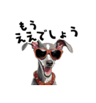 ロックだがネガティブなイタグレ（個別スタンプ：25）