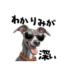 ロックだがネガティブなイタグレ（個別スタンプ：27）