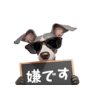 ロックだがネガティブなイタグレ（個別スタンプ：33）