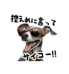 ロックだがネガティブなイタグレ（個別スタンプ：34）