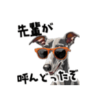 ロックだがネガティブなイタグレ（個別スタンプ：37）