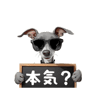 ロックだがネガティブなイタグレ（個別スタンプ：38）