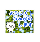 動く☆大人やさしいポメラニアンと野の花（個別スタンプ：5）