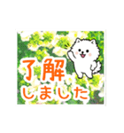 動く☆大人やさしいポメラニアンと野の花（個別スタンプ：6）