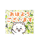 動く☆大人やさしいポメラニアンと野の花（個別スタンプ：7）