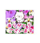 動く☆大人やさしいポメラニアンと野の花（個別スタンプ：10）