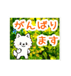 動く☆大人やさしいポメラニアンと野の花（個別スタンプ：14）