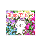 動く☆大人やさしいポメラニアンと野の花（個別スタンプ：18）