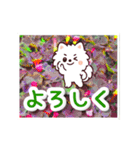 動く☆大人やさしいポメラニアンと野の花（個別スタンプ：20）