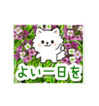 動く☆大人やさしいポメラニアンと野の花（個別スタンプ：22）