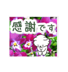 動く☆大人やさしいポメラニアンと野の花（個別スタンプ：23）