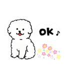 ビションフリーゼ 日常会話フランス語（個別スタンプ：9）