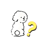 ビションフリーゼ 日常会話フランス語（個別スタンプ：25）